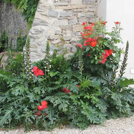 La Rose Bed & Breakfast 3*