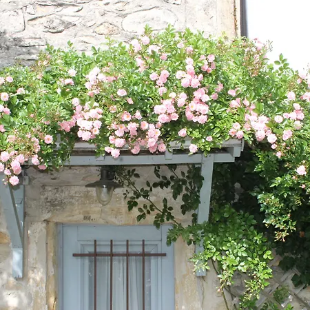 La Rose Saint-Gervasy