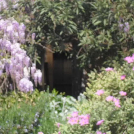 Panzió La Rose Saint-Gervasy