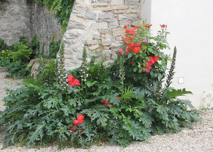 La Rose Bed & Breakfast 3*